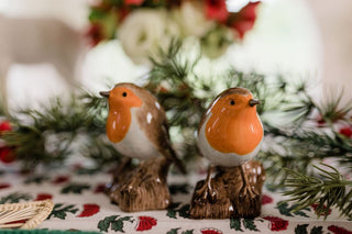 Robin Salt and Pepper Shakers