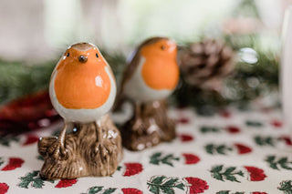 Robin Salt and Pepper Shakers